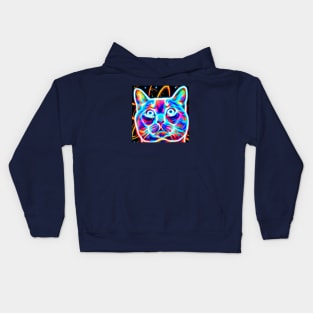 Cosmic Laser Synth Cat Kids Hoodie